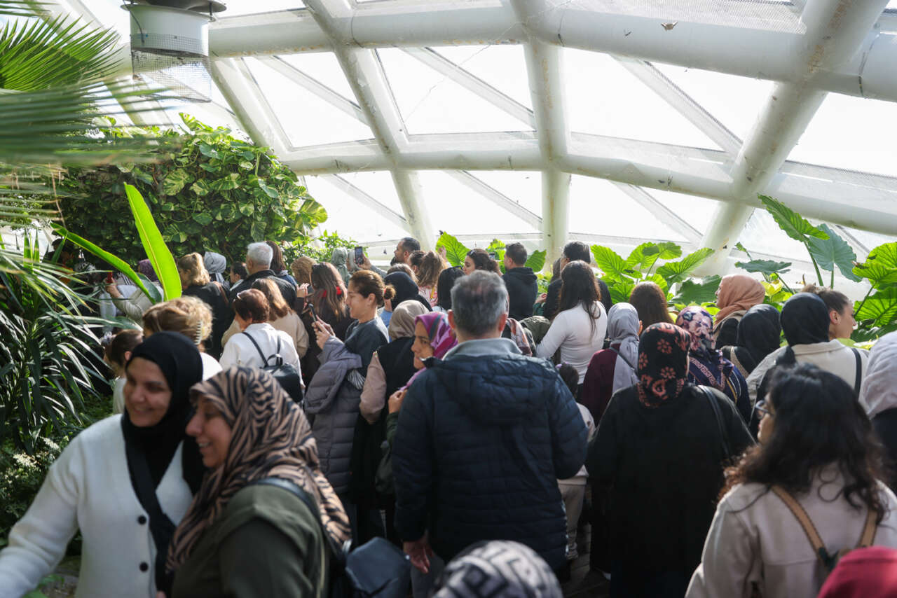 Konya’nın kelebek cenneti ziyaretçi rekoru kırdı 12